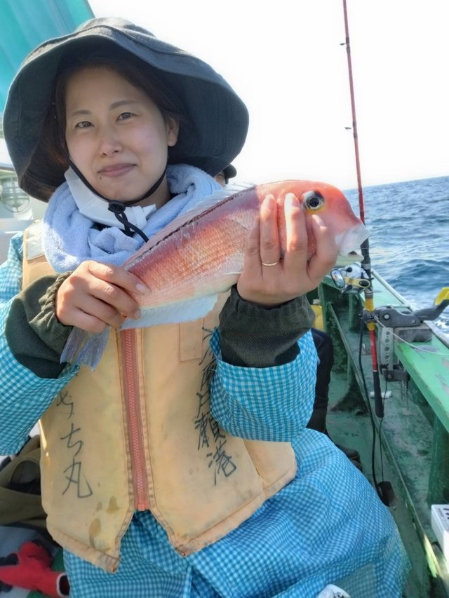 アマダイ(アカアマダイ)