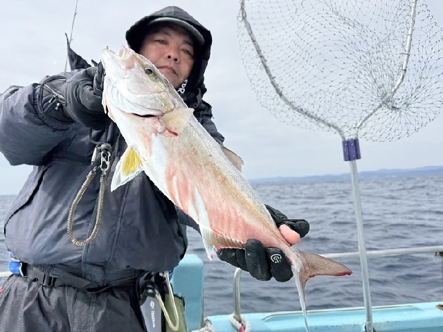 シオ(カンパチ)