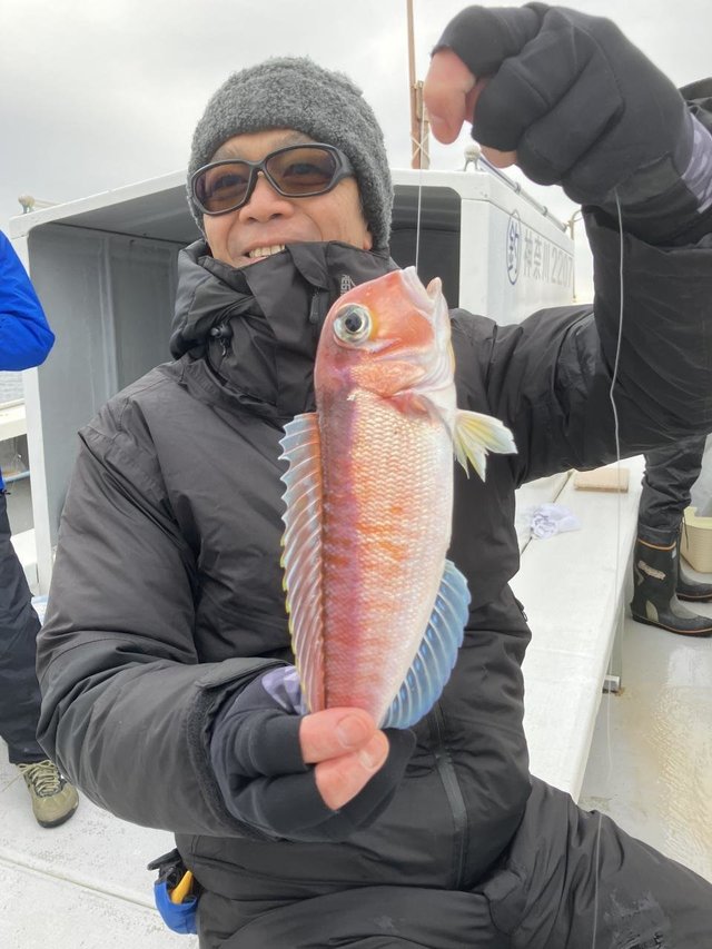 アマダイ(アカアマダイ)