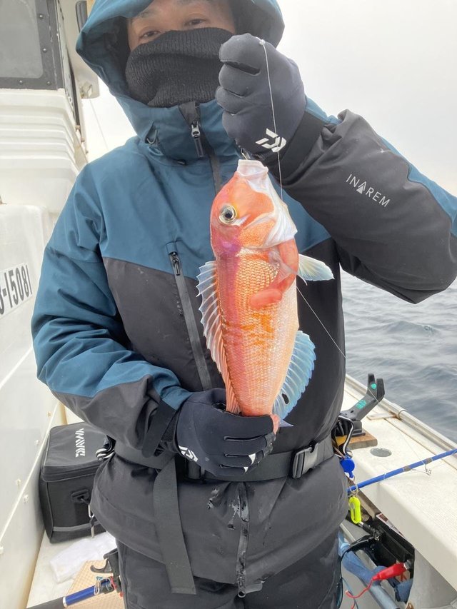 アマダイ(アカアマダイ)