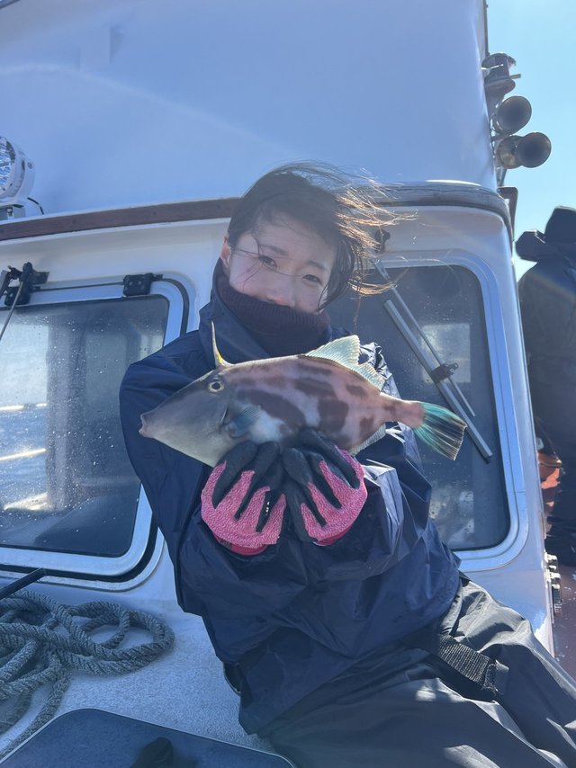 ウマズラハギ(ウマヅラハギ)