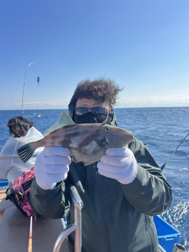 ウマズラハギ(ウマヅラハギ)