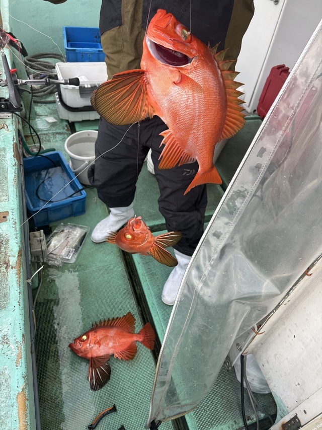 チカメキントキ