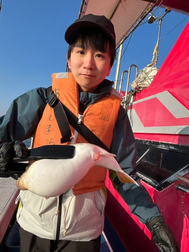 フグ(ショウサイフグ)