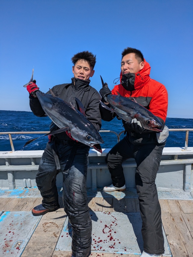 トンボ(ビンナガ)