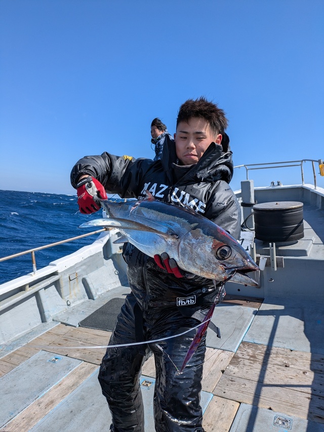 トンボ(ビンナガ)