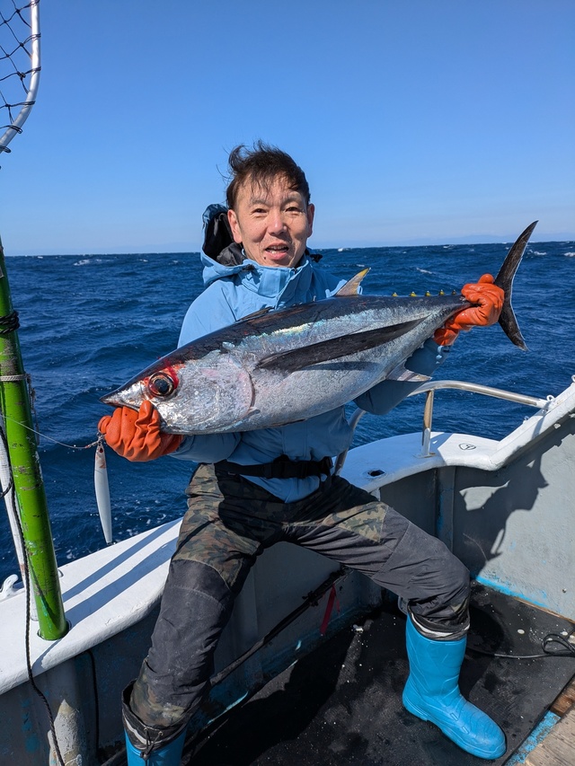 トンボ(ビンナガ)