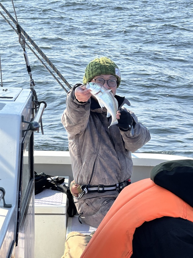 イシモチ(シログチ)