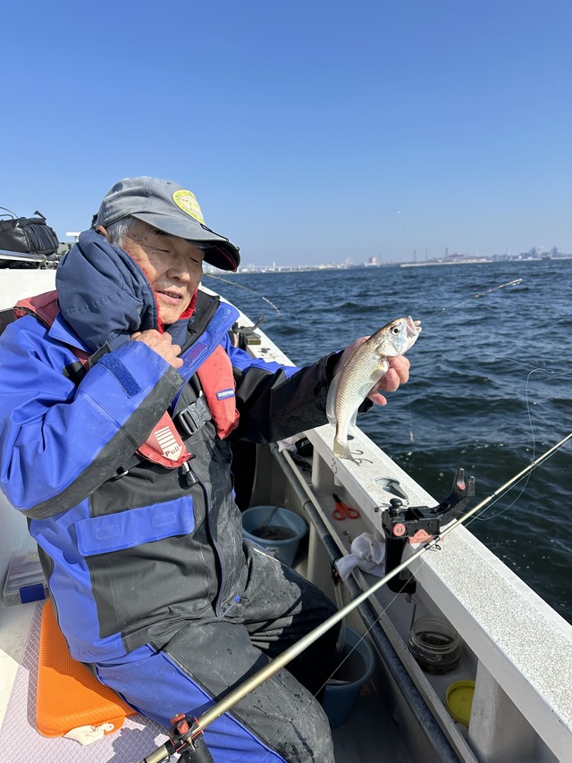 イシモチ(シログチ)