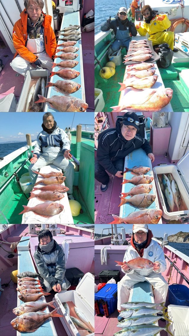 マダイ・クロダイ・イナダ(ブリ)