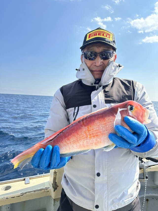 アマダイ(アカアマダイ)