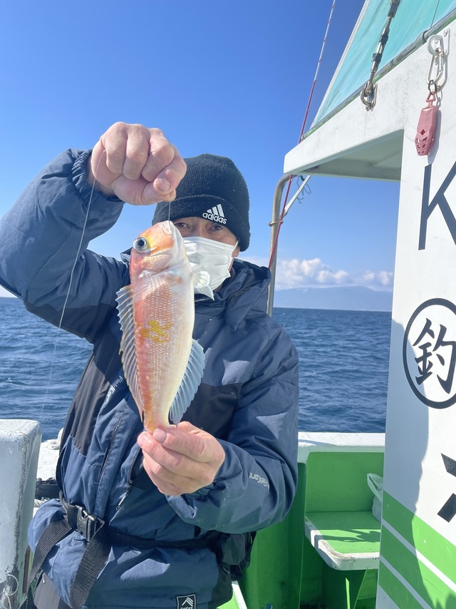 アマダイ(アカアマダイ)