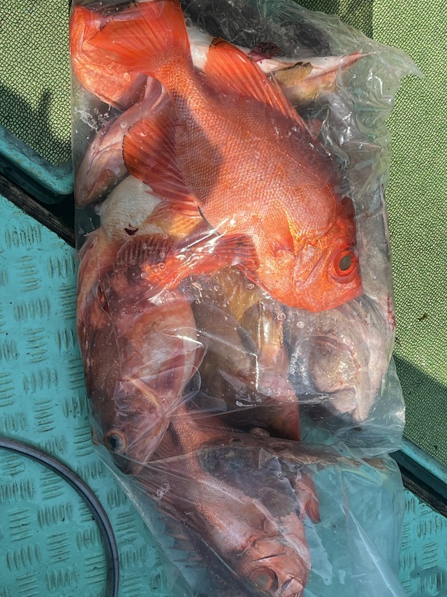 キンメ(キンメダイ)