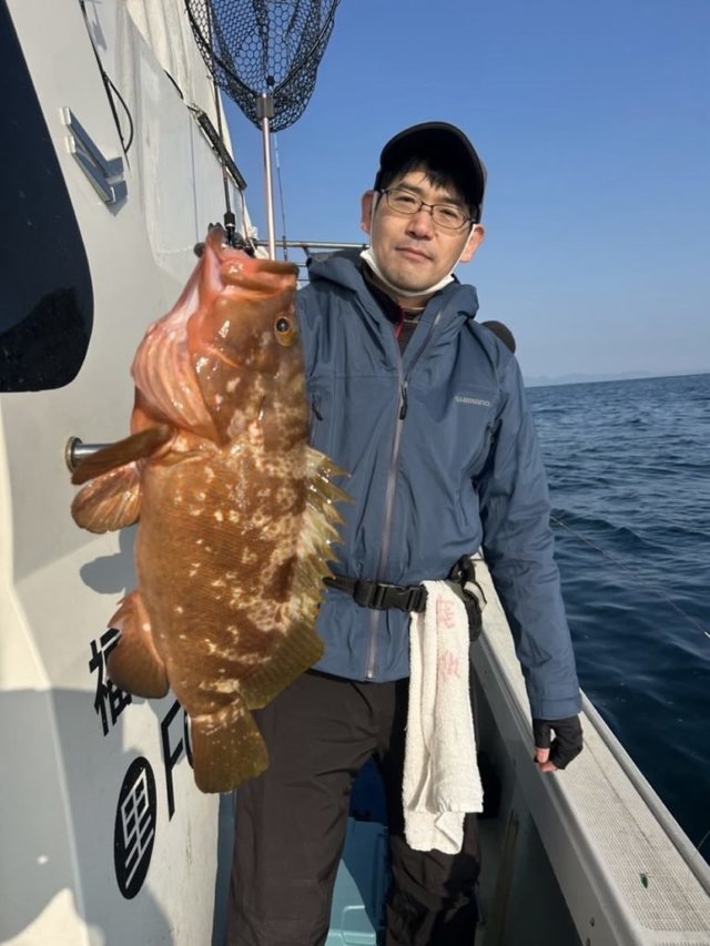 アコウ(キジハタ)