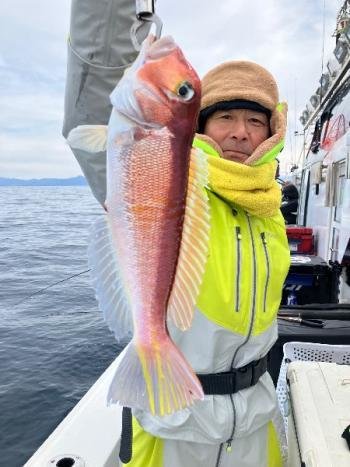 アマダイ(アカアマダイ)