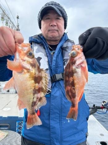 オキメバル(ウスメバル)