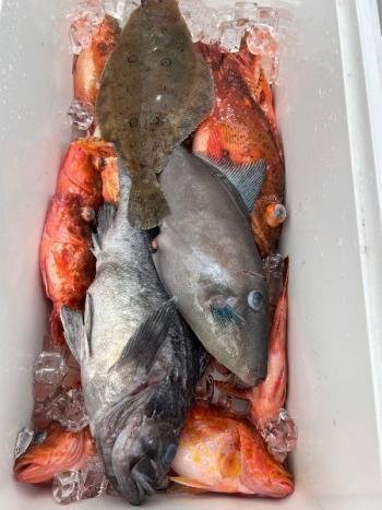 キジハタ・ソイ(クロソイ)・カサゴ・ガンゾウビラメ・ウマヅラハギ