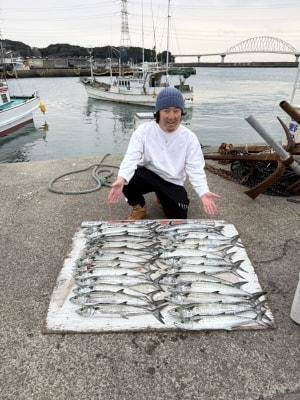 サゴシ(サワラ)