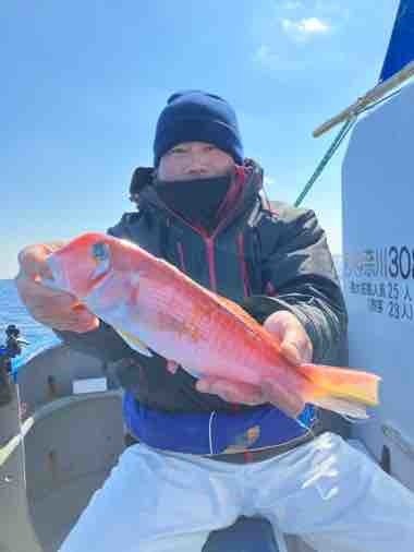 アマダイ(アカアマダイ)