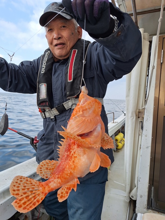 アラカブ(カサゴ)