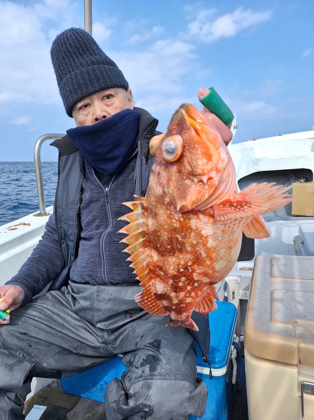 アラカブ(カサゴ)