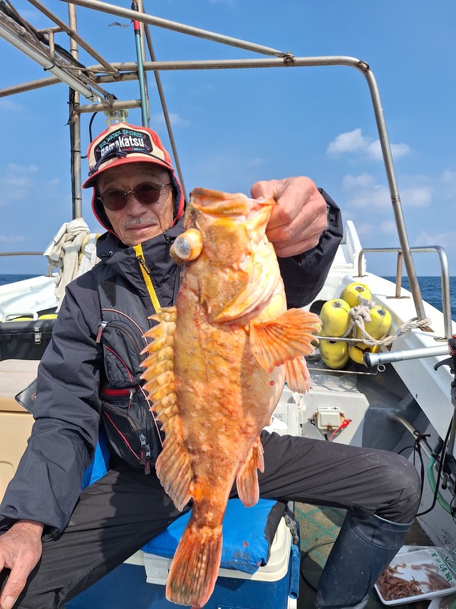 アラカブ(カサゴ)