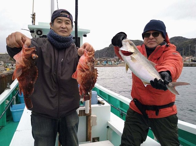 カンパチ・ウッカリカサゴ