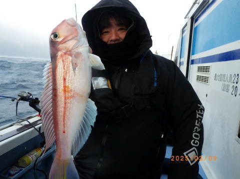 アマダイ(アカアマダイ)