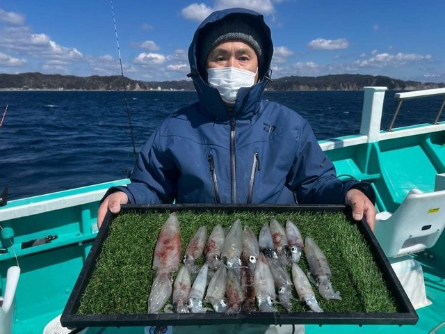 マルイカ(ケンサキイカ)