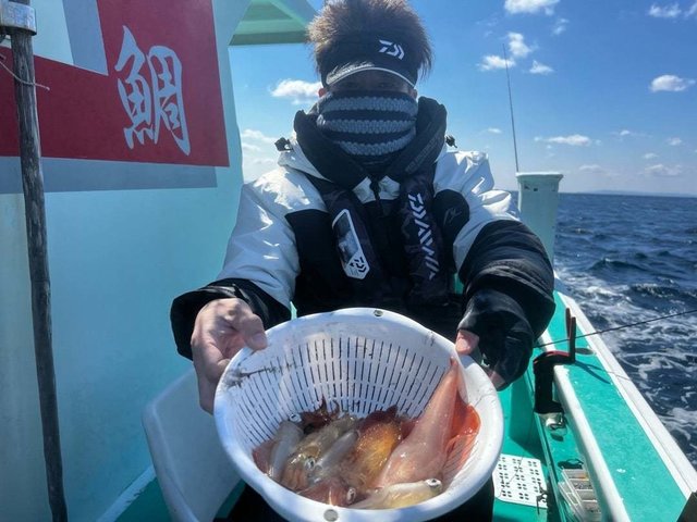 マルイカ(ケンサキイカ)