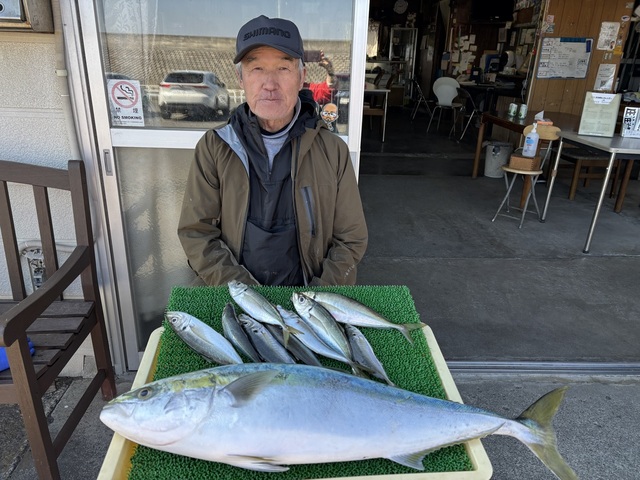 アジ(マアジ)・ワラサ(ブリ)