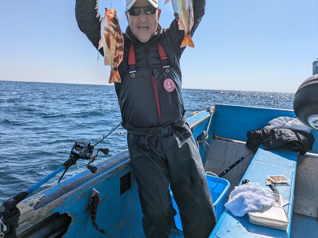 メバル(ウスメバル)