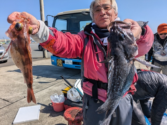 メバル(ウスメバル)