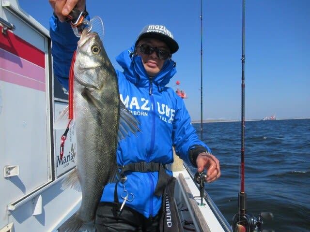 シーバス(スズキ)