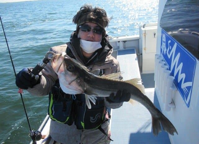 シーバス(スズキ)