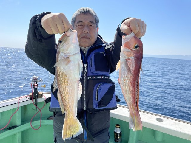 アマダイ(アカアマダイ)