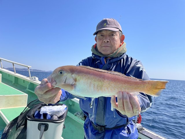 アマダイ(アカアマダイ)