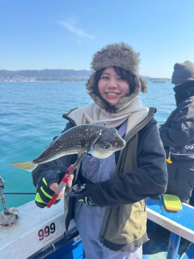 フグ(ショウサイフグ)