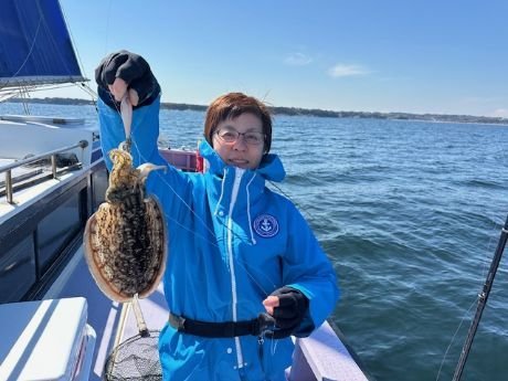 スミイカ(コウイカ)