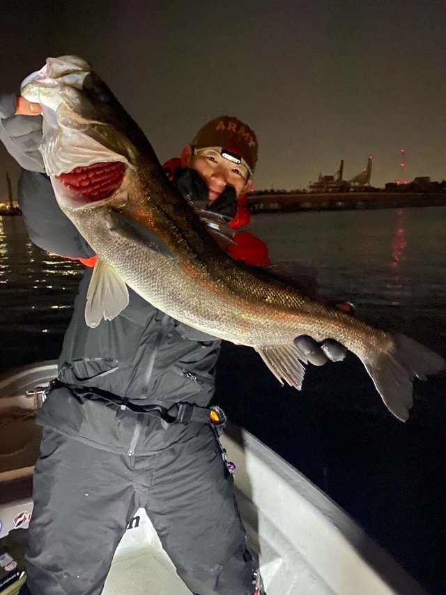 シーバス(スズキ)