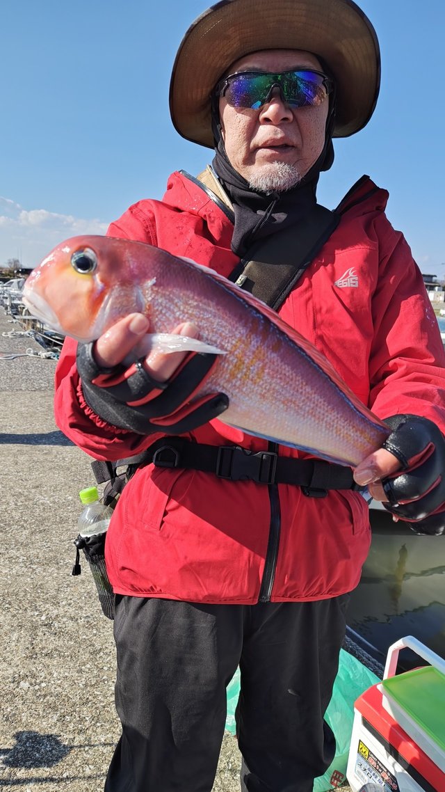 アマダイ(アカアマダイ)