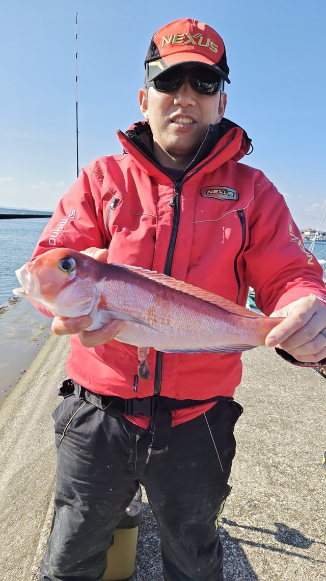 アマダイ(アカアマダイ)