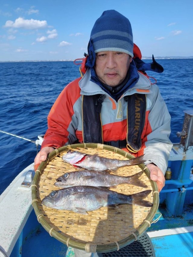 シロムツ(オオメハタ)