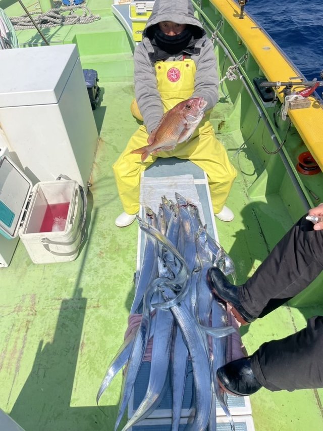 マダイ・タチウオ