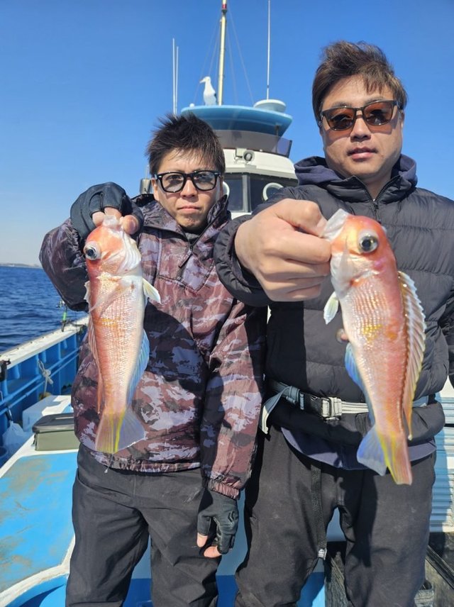 アマダイ(アカアマダイ)