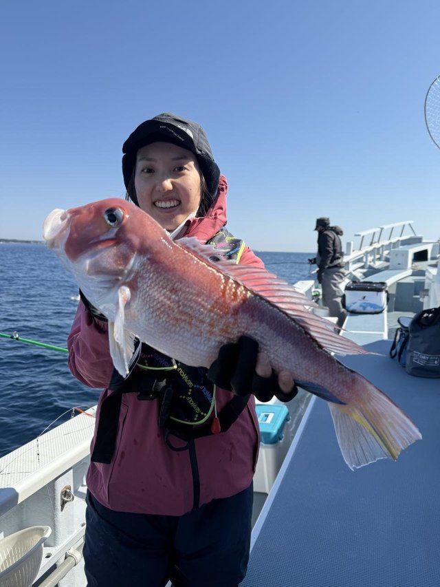 アマダイ(アカアマダイ)