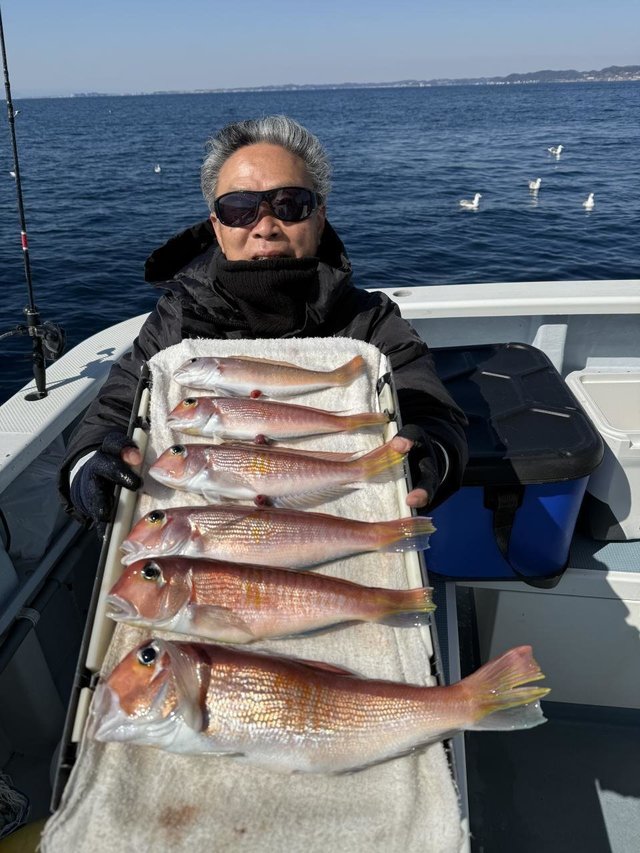 アマダイ(アカアマダイ)