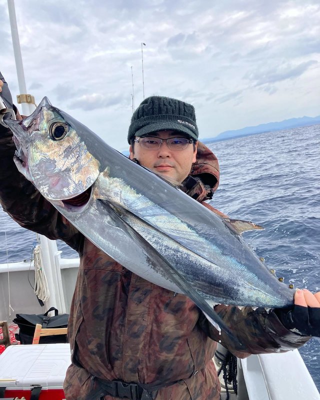 ビンチョウマグロ(ビンナガ)