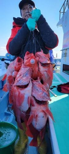 メヌケ(アコウダイ)