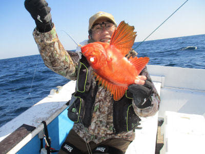 キントキ(チカメキントキ)